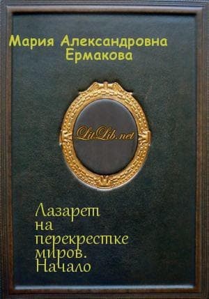Лазарет на перекрестке миров. Начало (СИ)