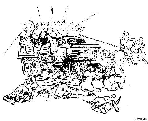 Сафари на…