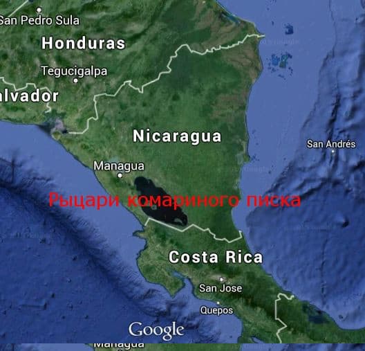 Рыцари комариного писка