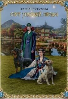 Свет упавшей звезды