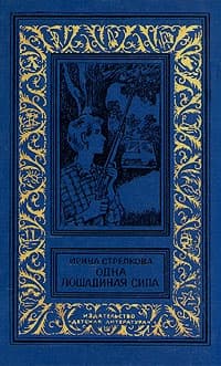 Похищение из провинциального музея