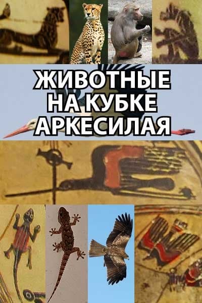 Животные на кубке Аркесилая