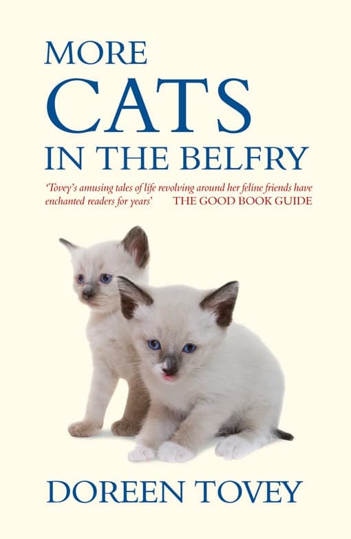 More Cats In The Belfry