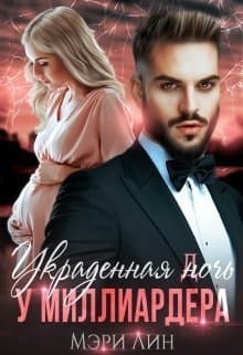 Украденная ночь у миллиардера (СИ)