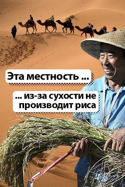 Эта местность ... из-за сухости не производит риса...