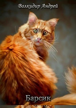 Барсик - житель трущоб