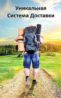 Система Доставки (СИ)