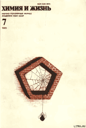 Всякое может случиться